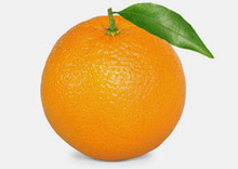 Orangenschale wickelt sich auf